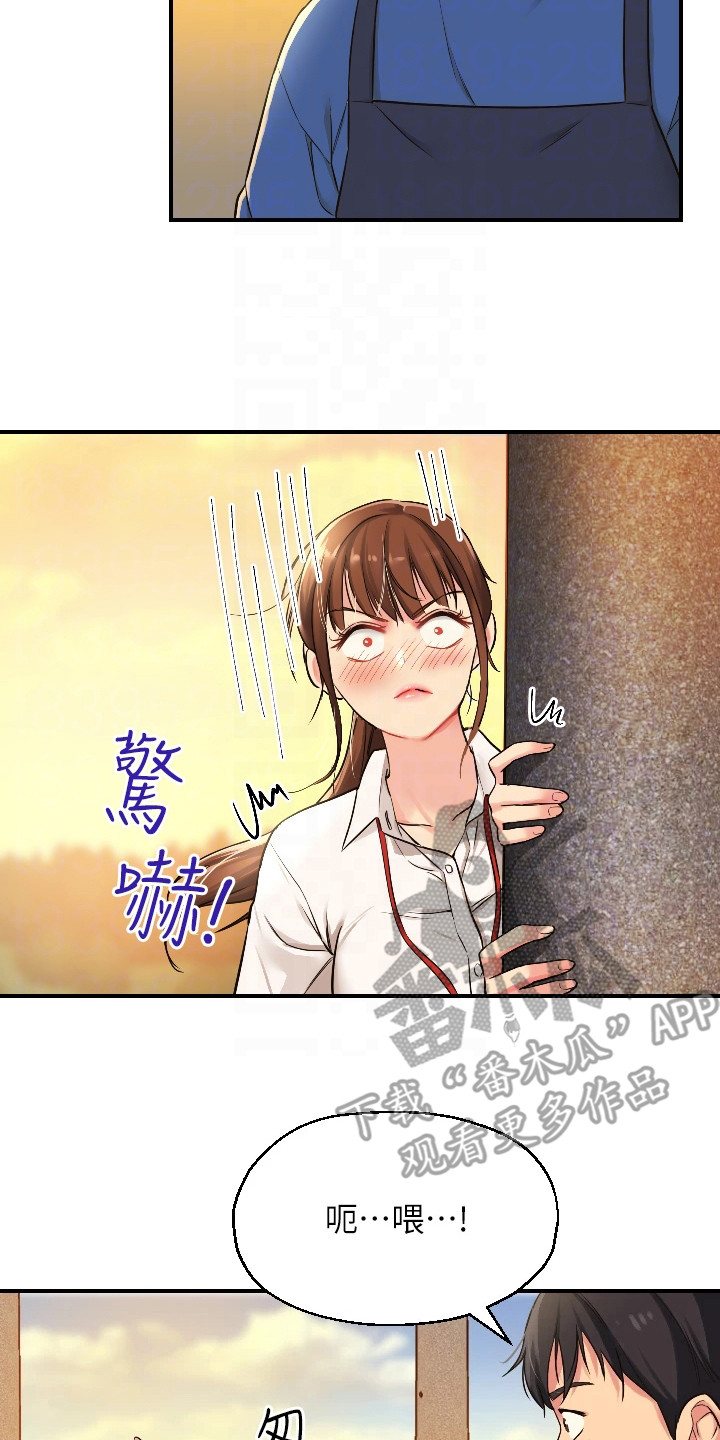 第11章：偷偷打量16