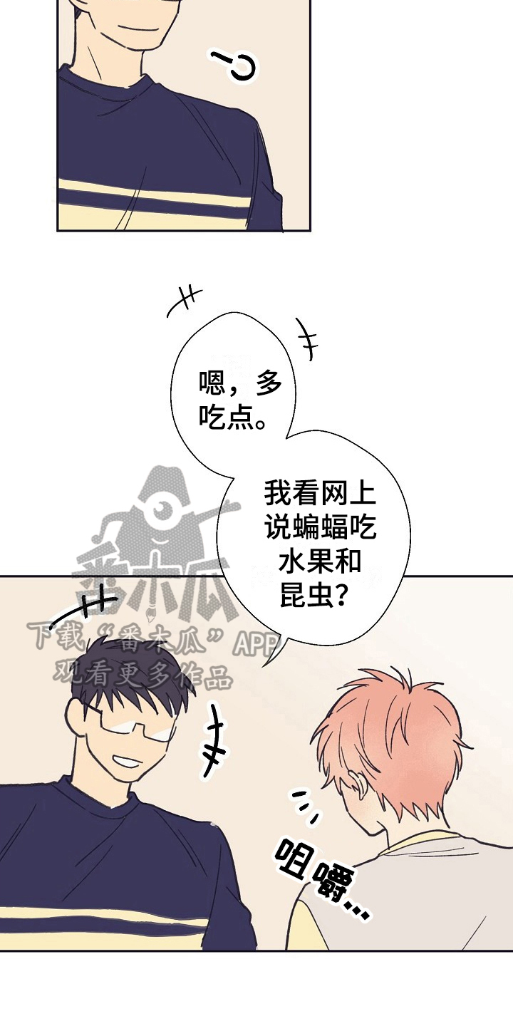 第9章：转变11