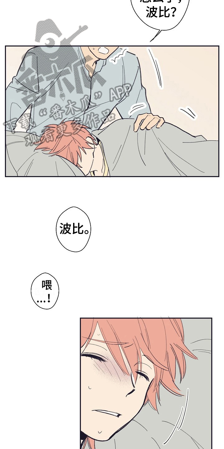 第14章：家人6