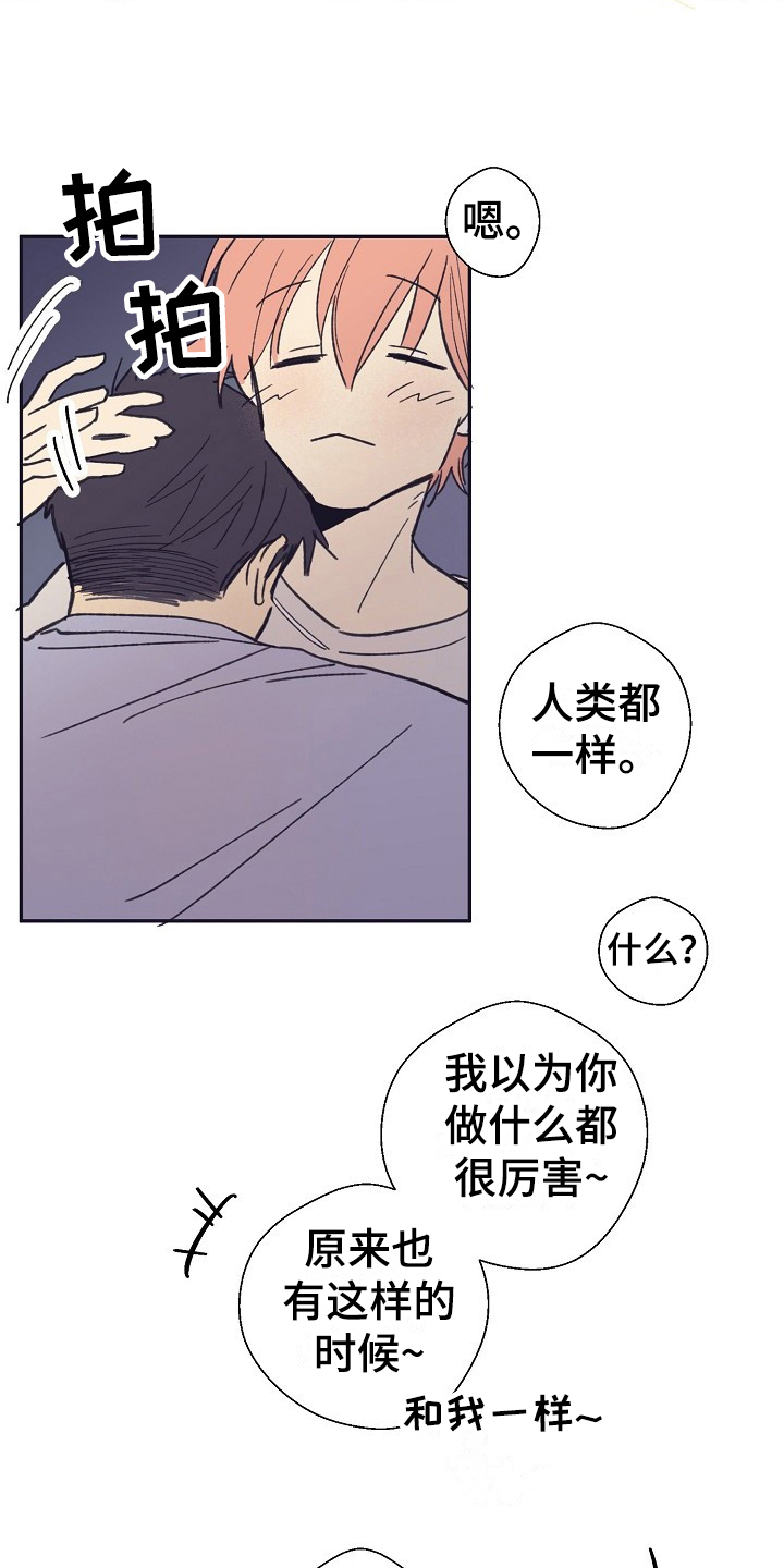 第8章：安慰6