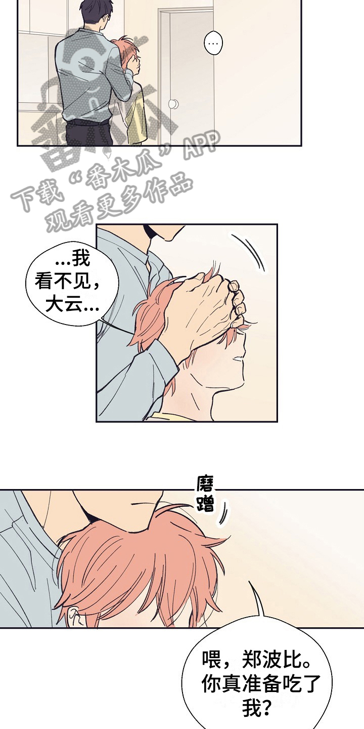 第15章：同意13