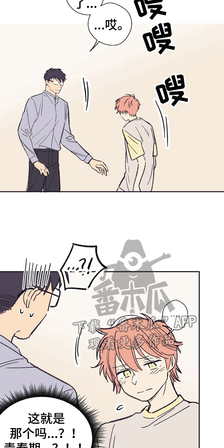 第12章：问题4