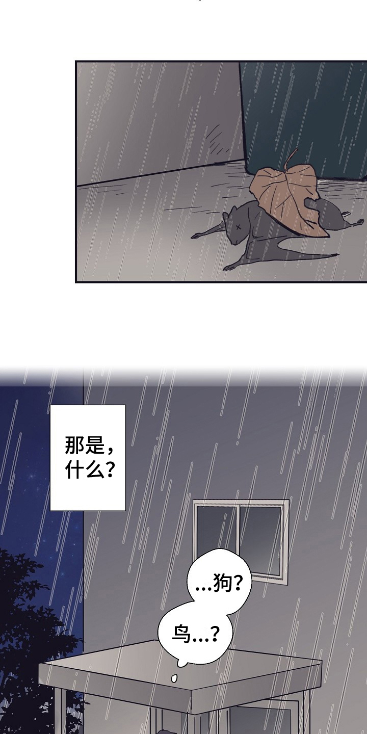 第1章：捡回家5