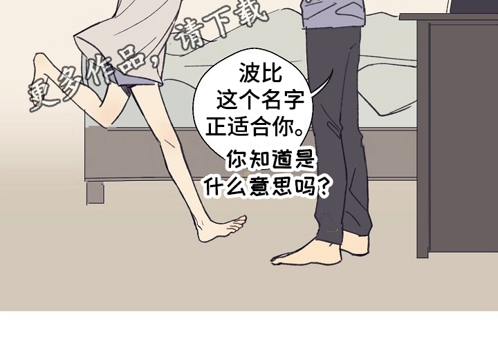 第4章：收留16