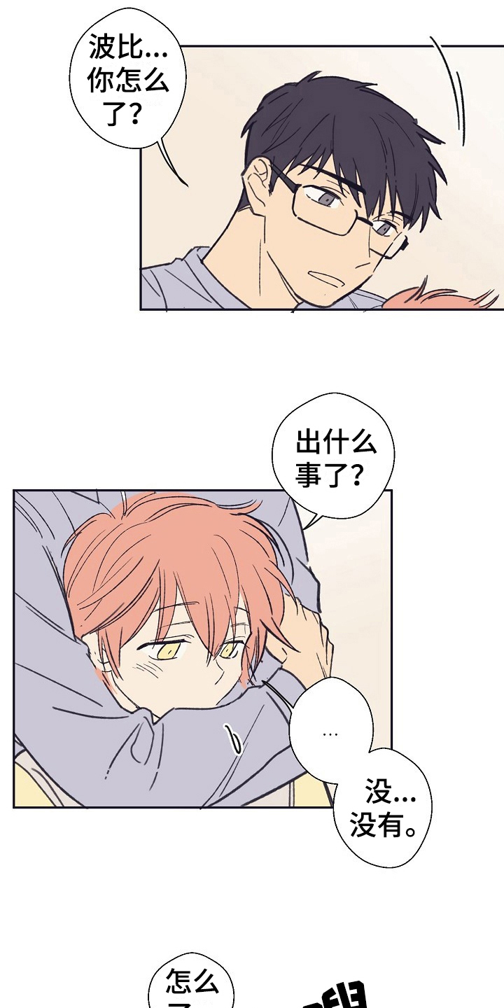 第12章：问题3