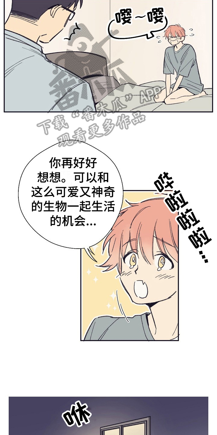 第4章：收留2