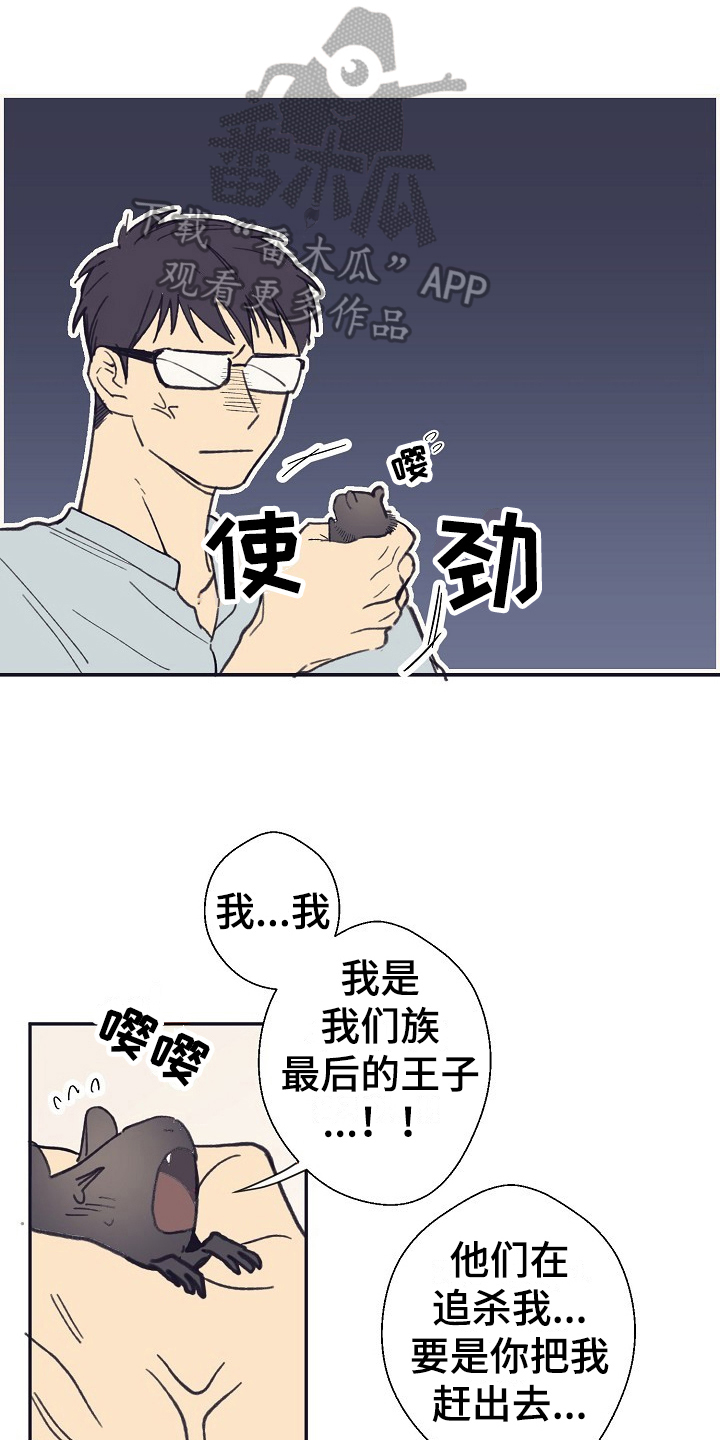 第4章：收留0