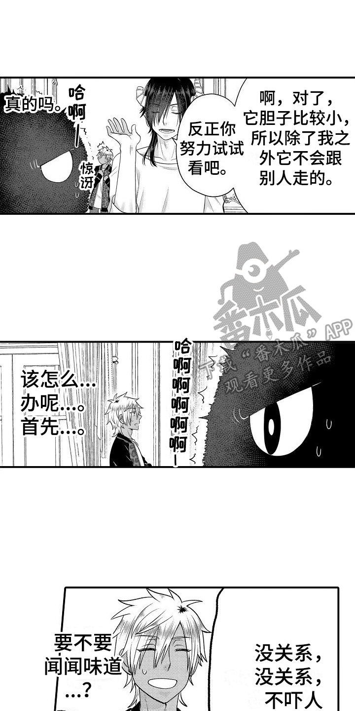 第9章：宠物9