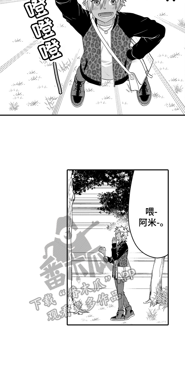 第20章：散步12