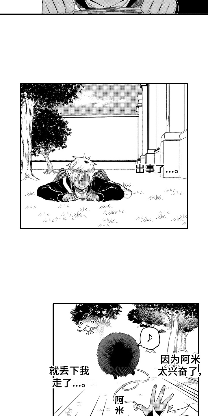 第20章：散步9