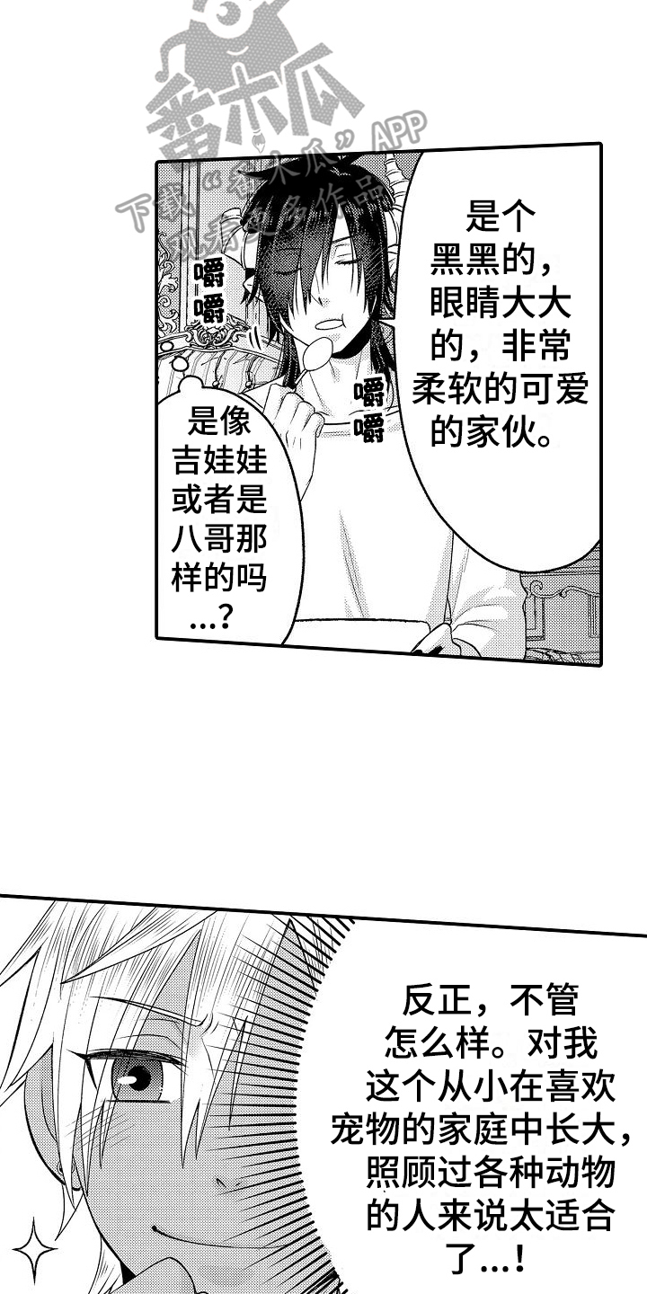 第9章：宠物5