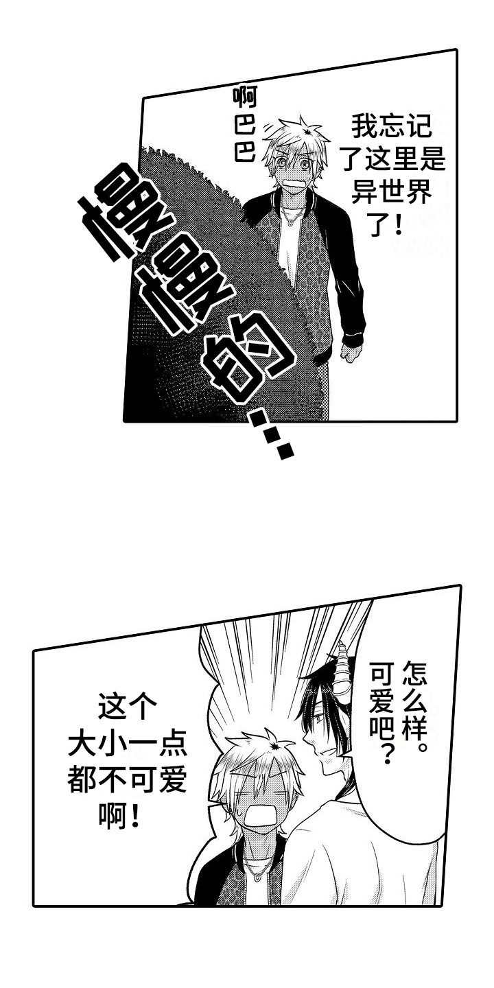 第9章：宠物8