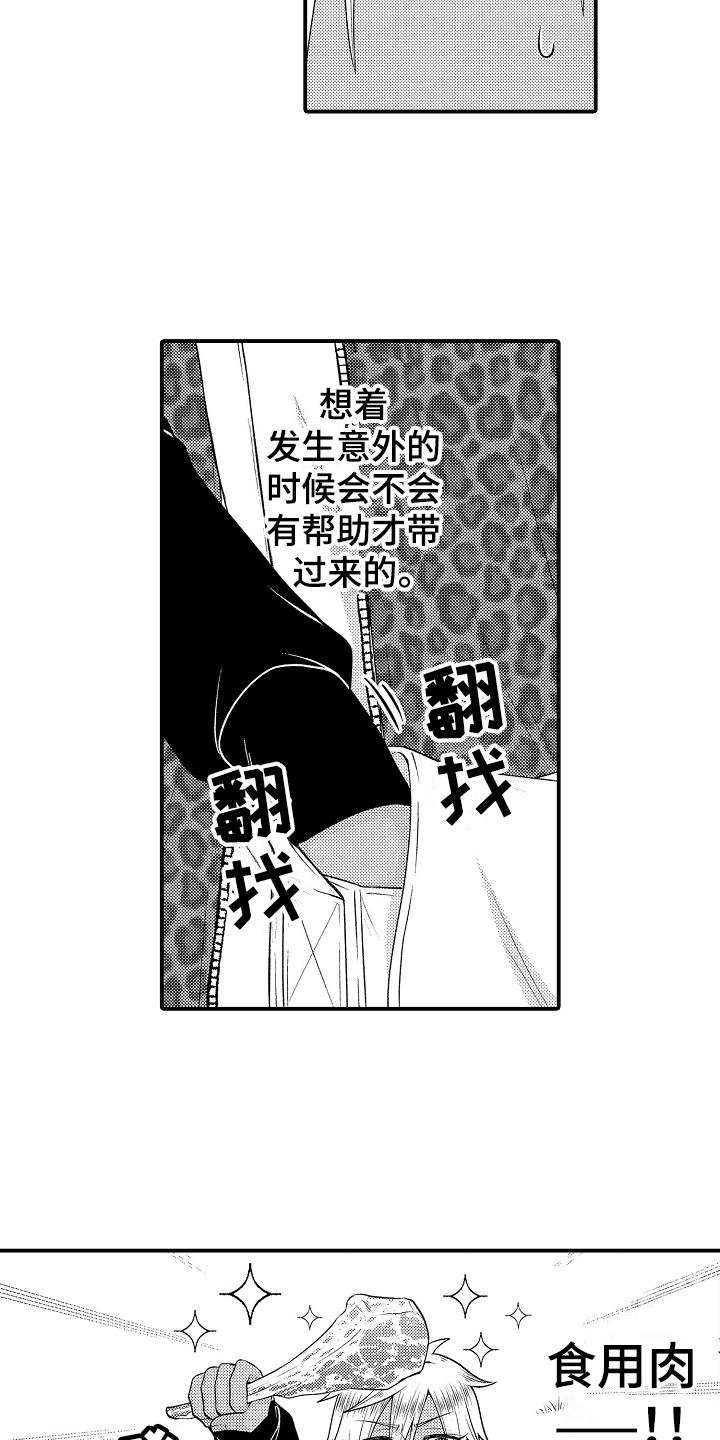 第20章：散步11