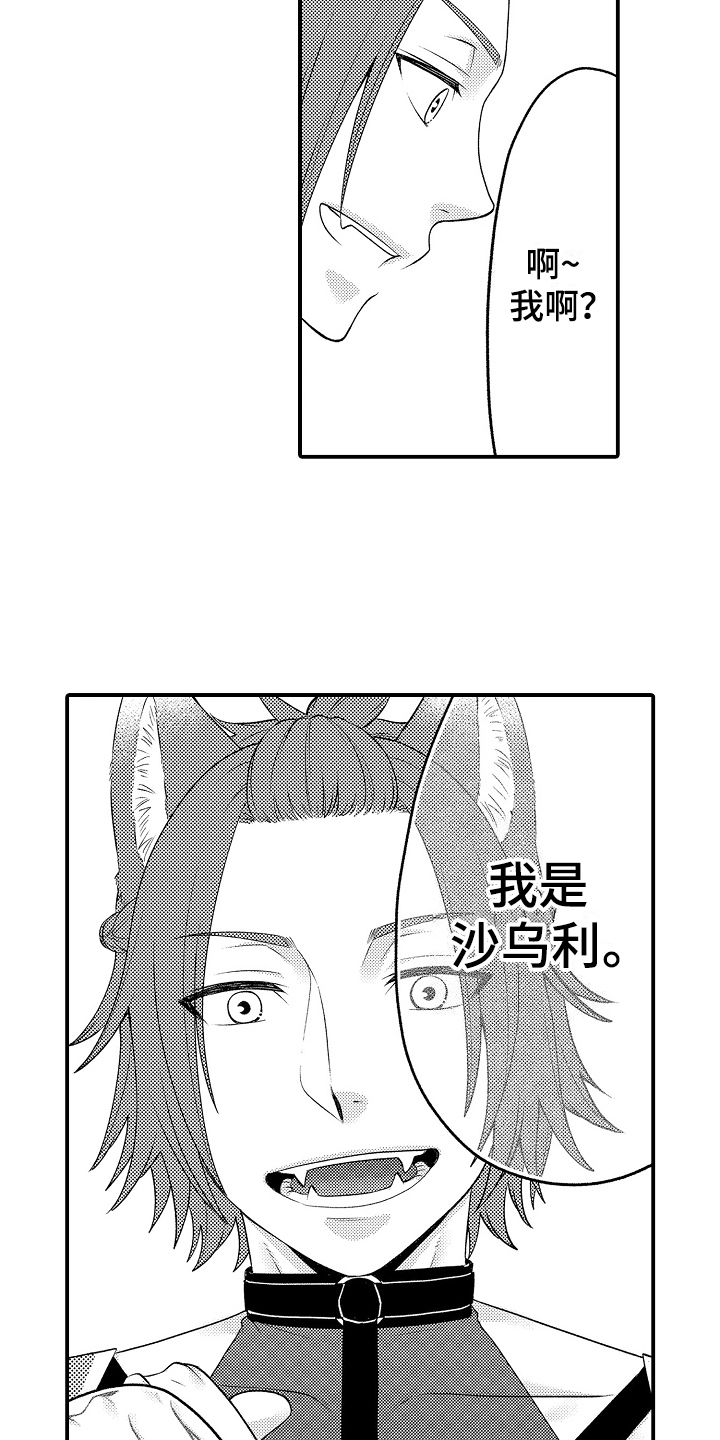 第21章：朋友11