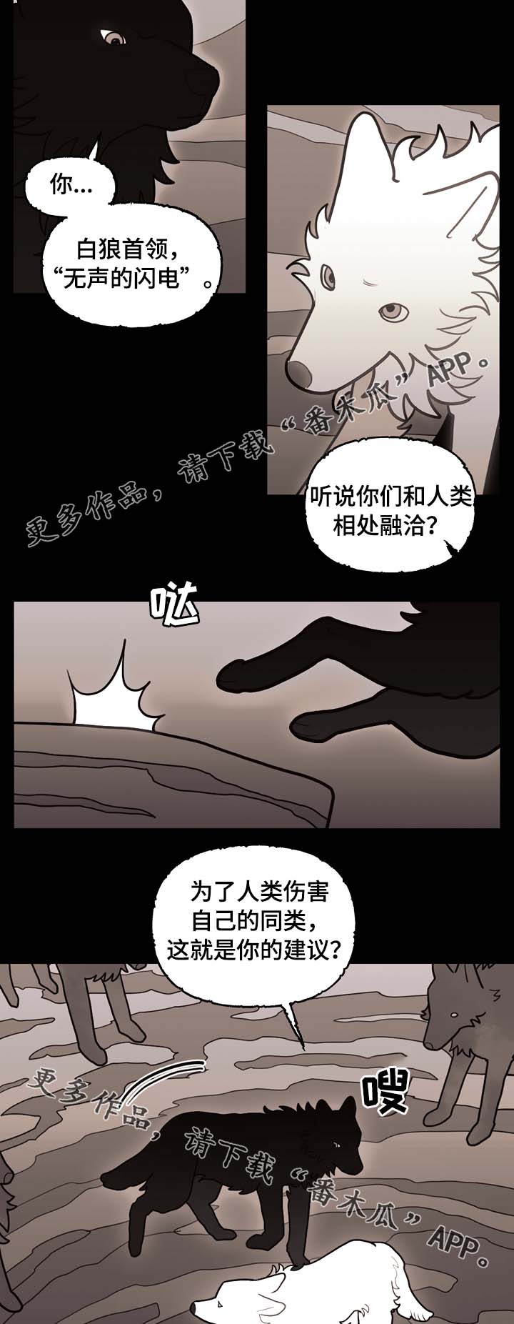第66章：狼族秘辛6