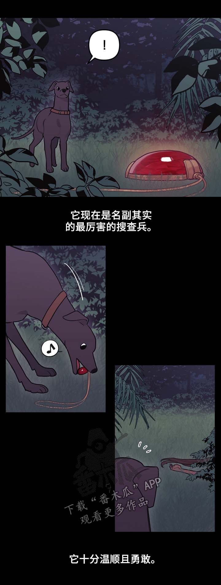 第97章：搜查兵9