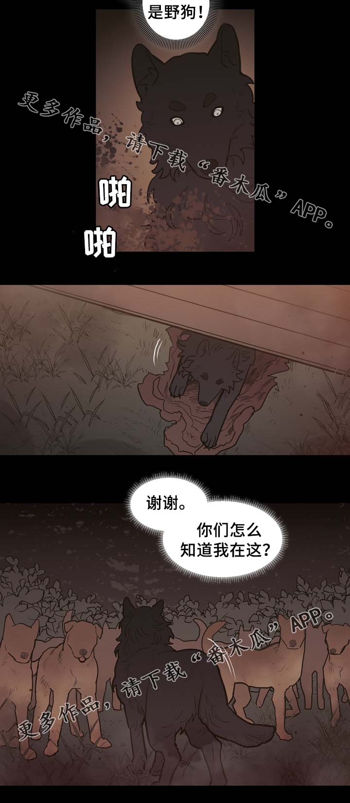 第61章：宝石召唤14
