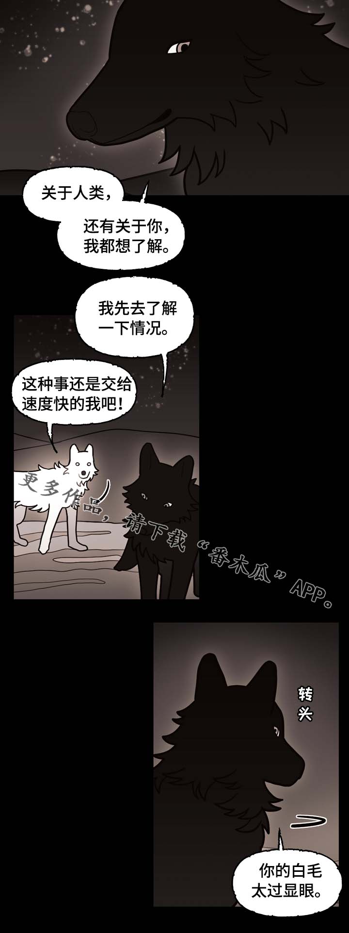 第66章：狼族秘辛12