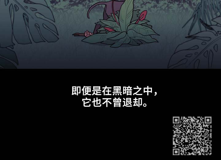 第97章：搜查兵11