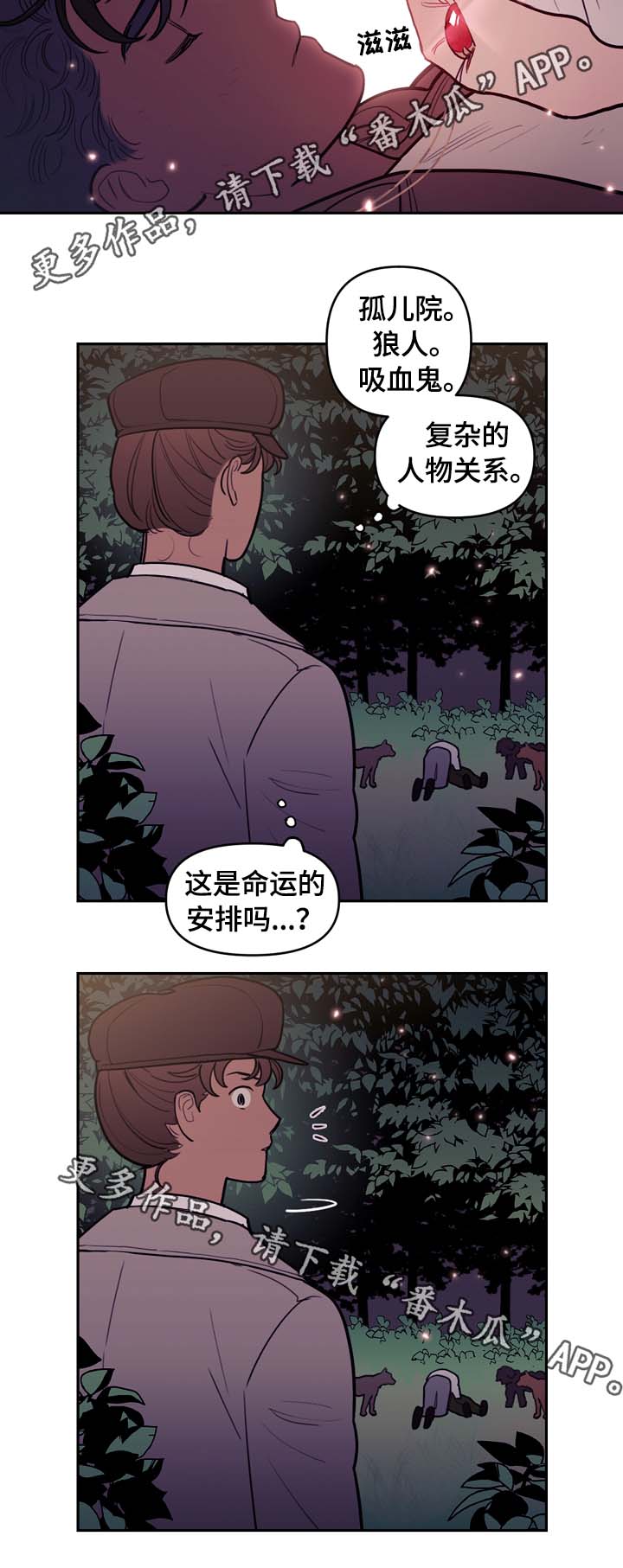 第65章：白狼4