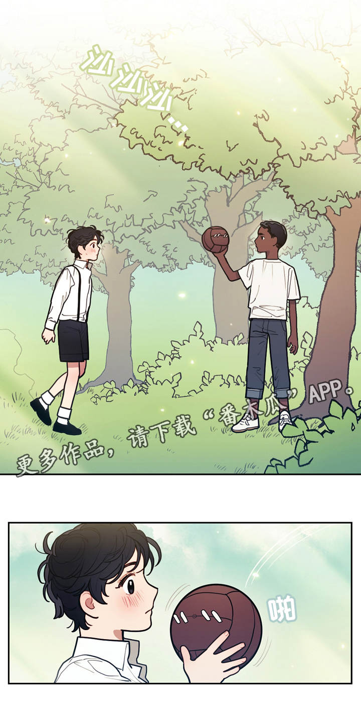 第8章：散步5