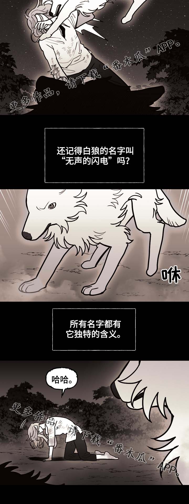第68章：到底有多快12