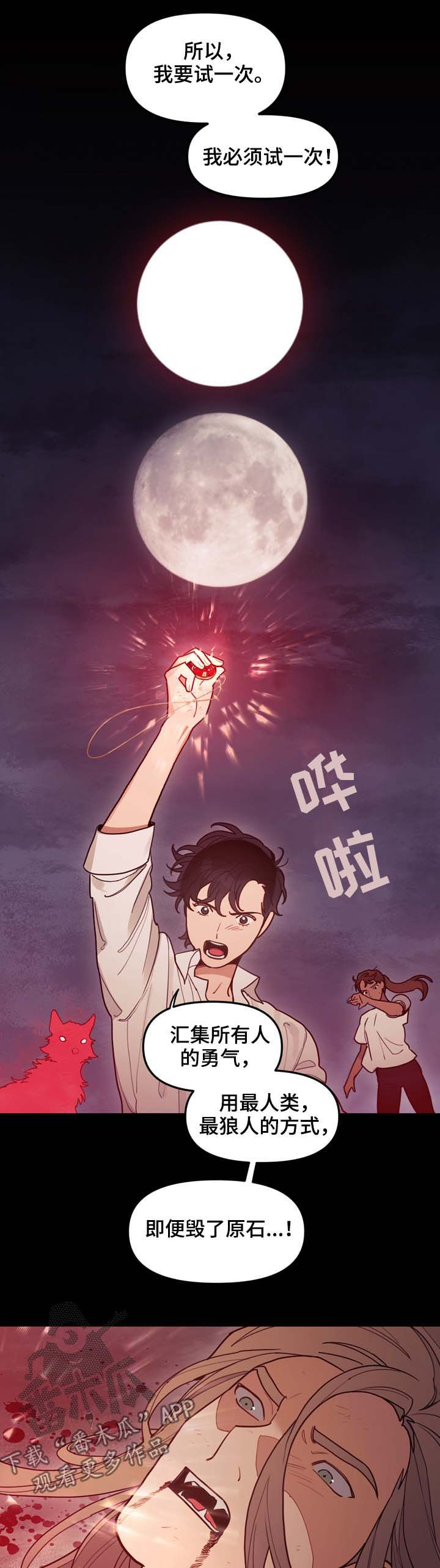 第111章：原石裂9