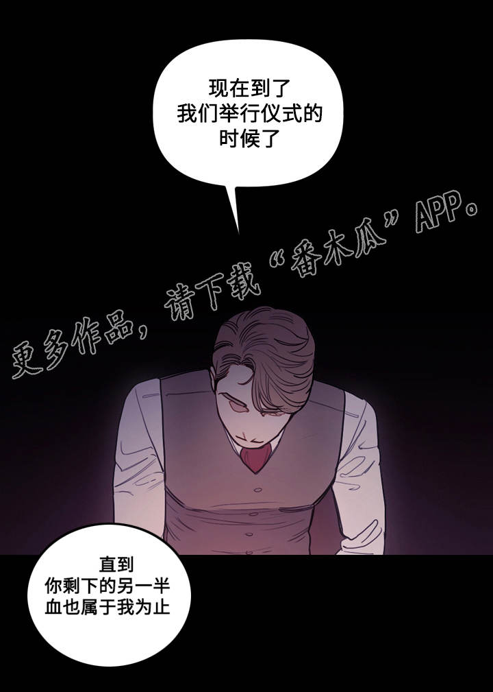 第12章：仪式7