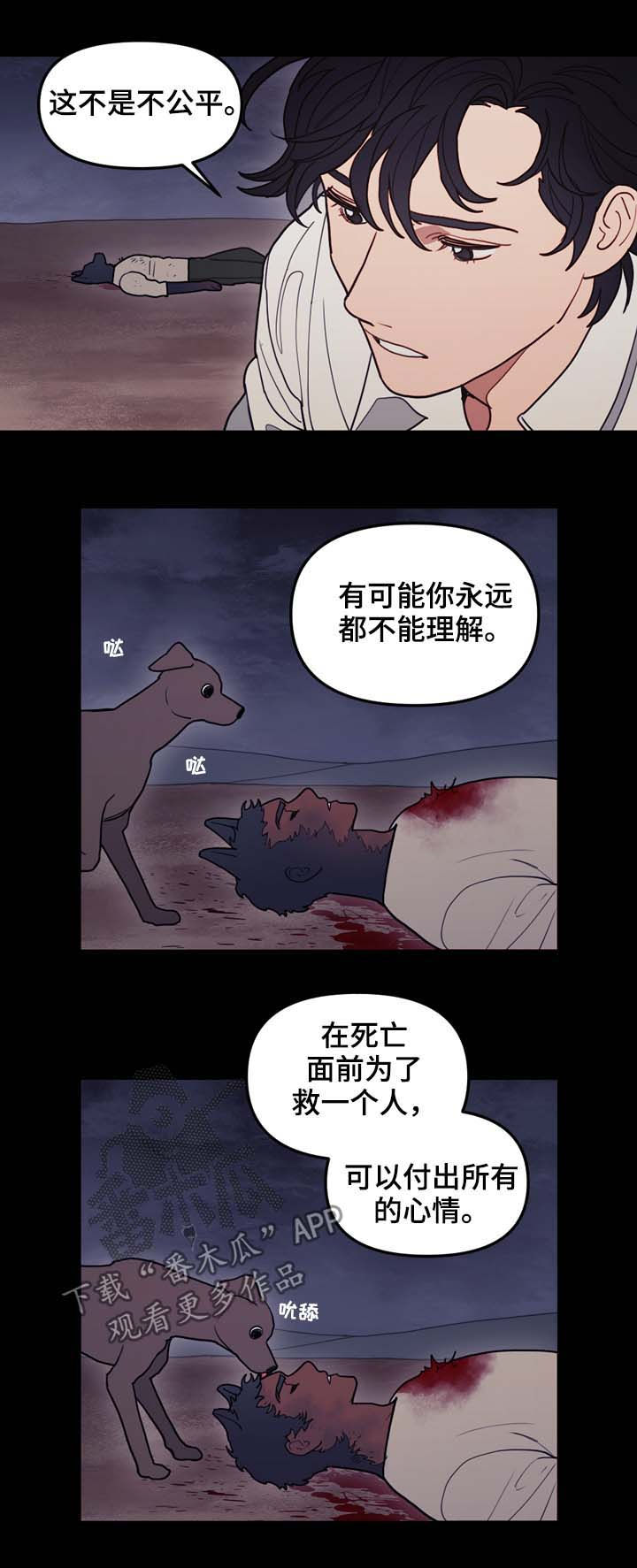 第111章：原石裂8