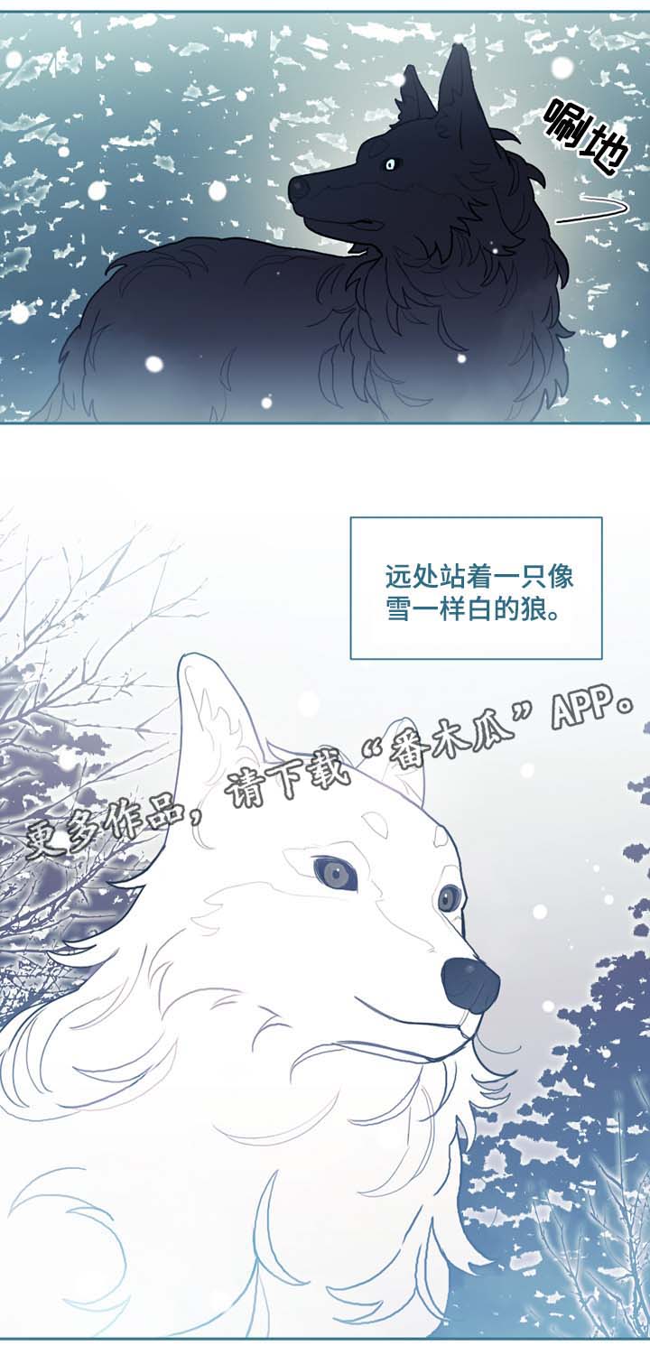 第48章：别太过火了17