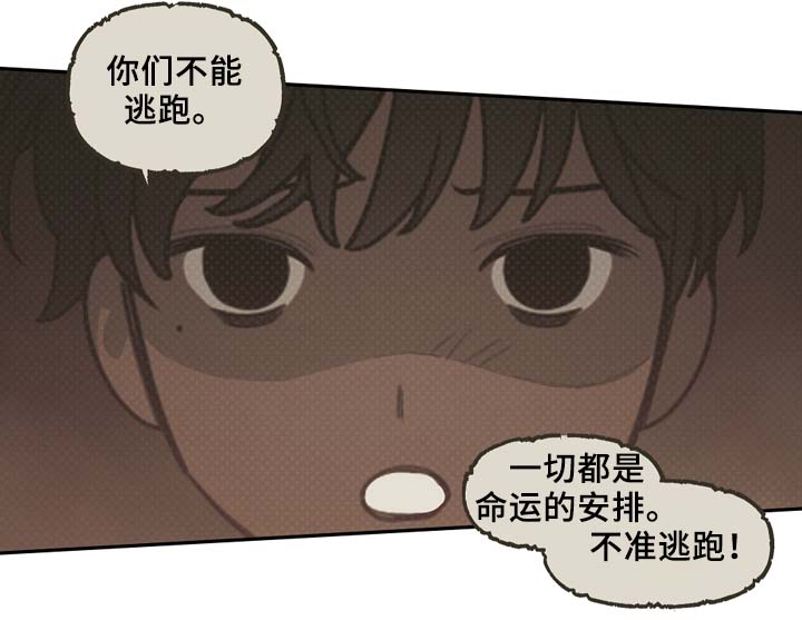 第60章：实现预言9