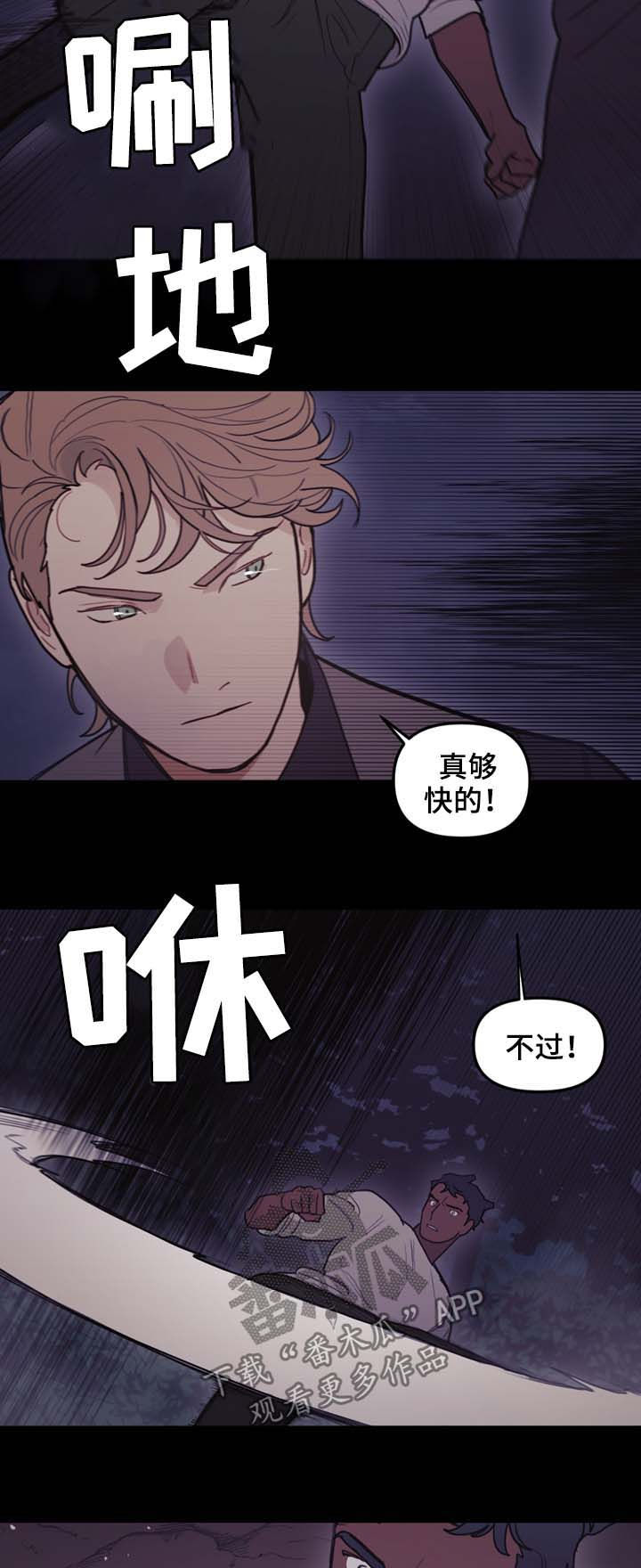 第101章：偷袭2