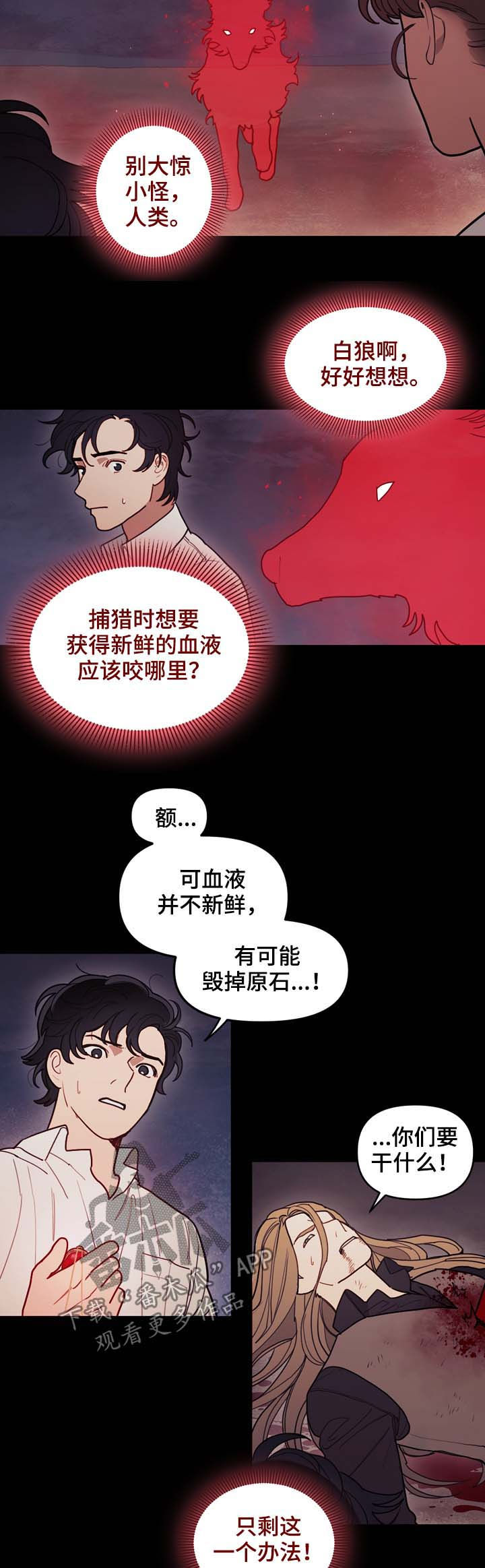 第111章：原石裂6