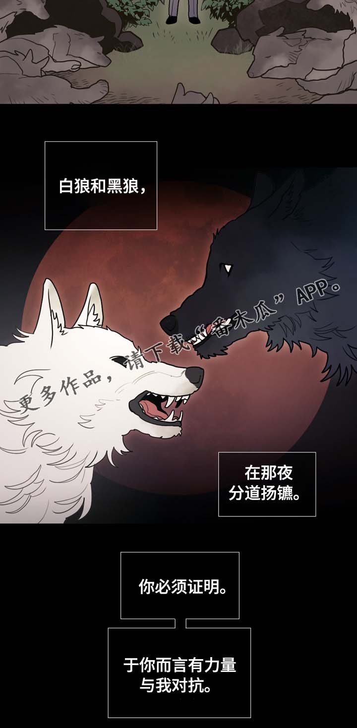 第65章：白狼11