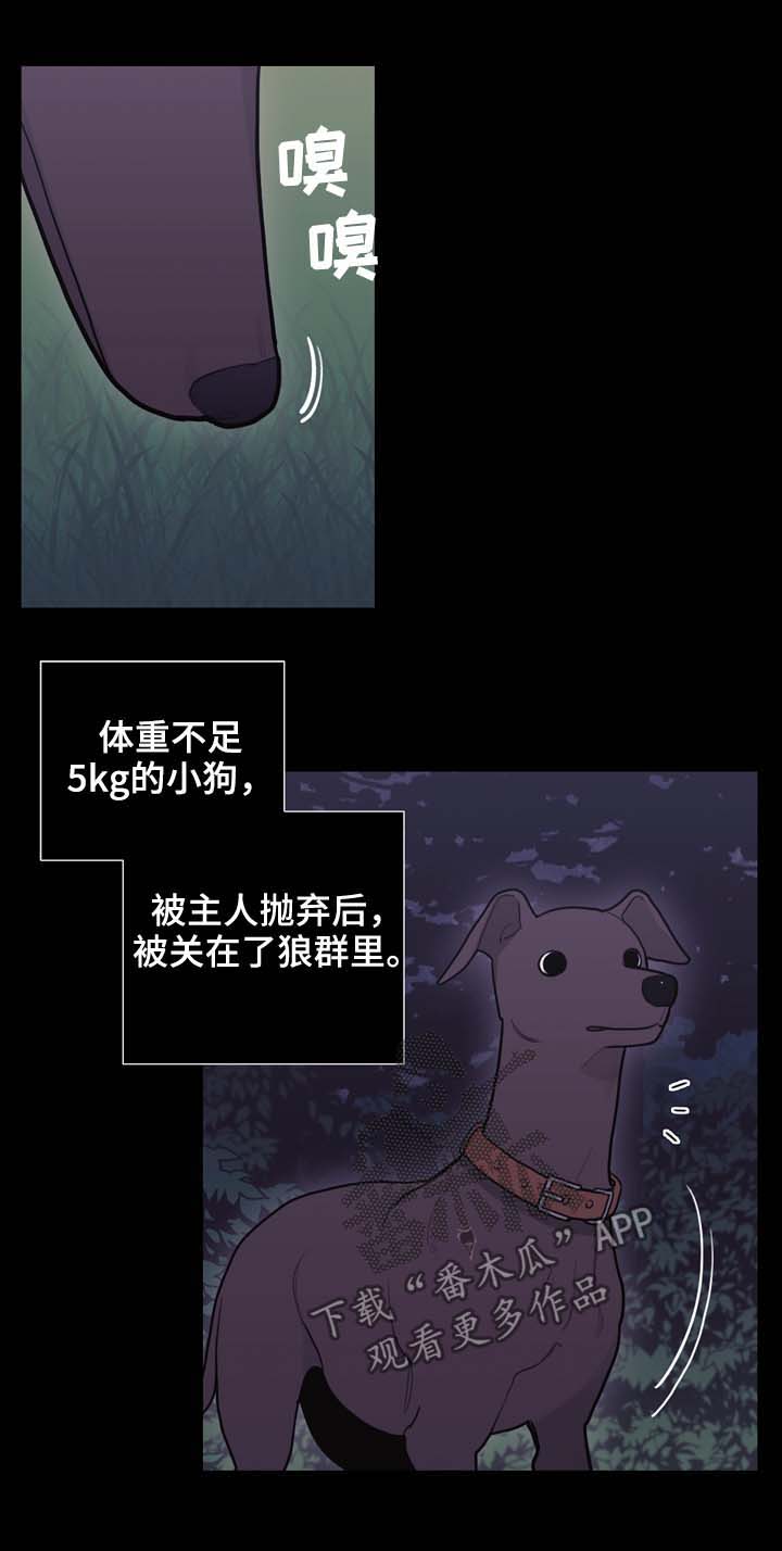 第97章：搜查兵8