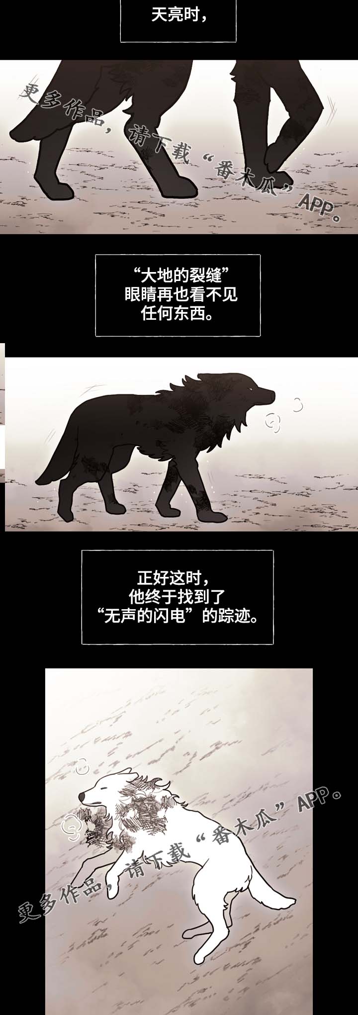 第69章：狼王的诅咒6