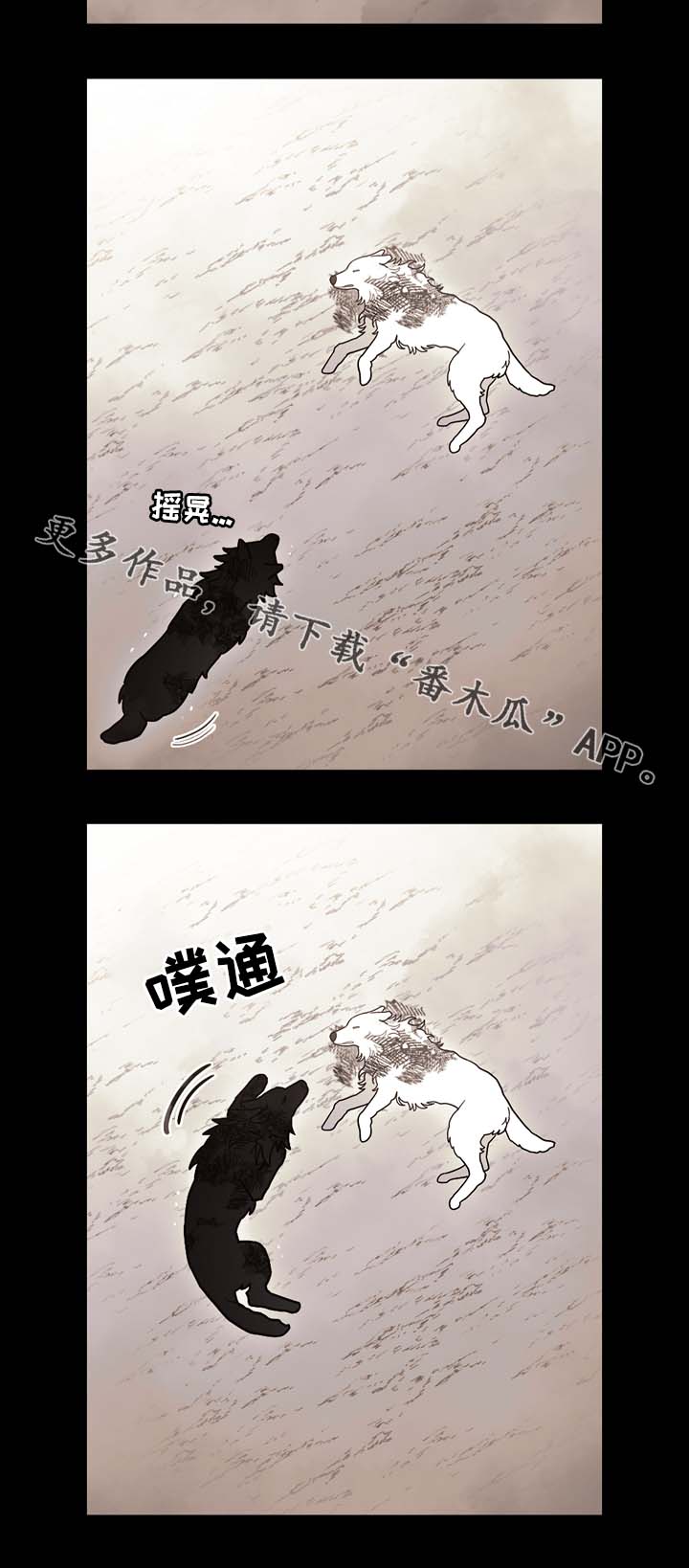 第69章：狼王的诅咒7