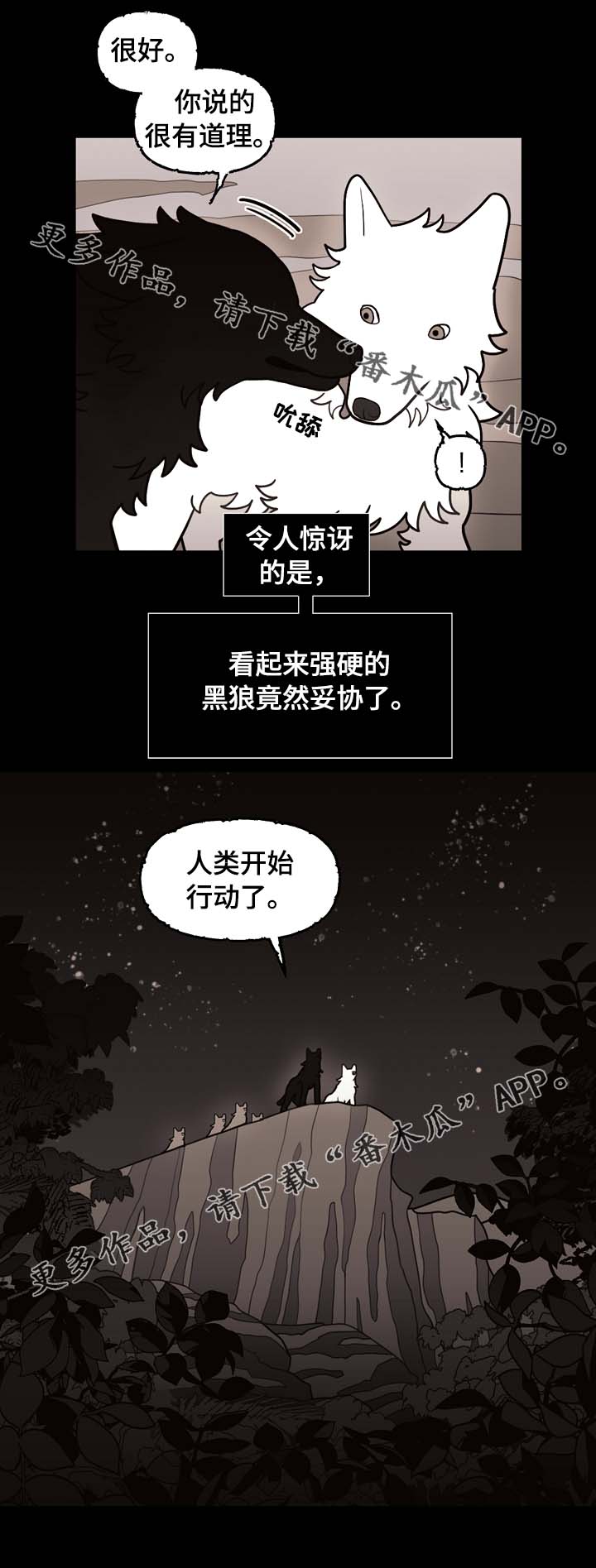第66章：狼族秘辛8