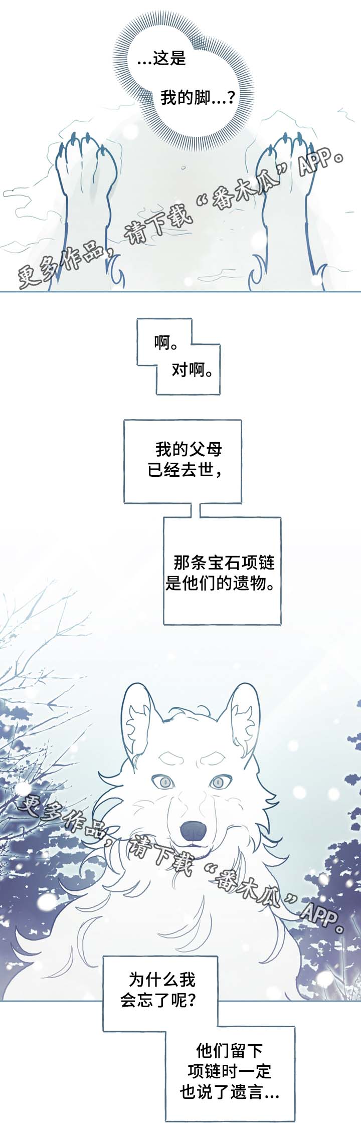 第54章：一个问题8