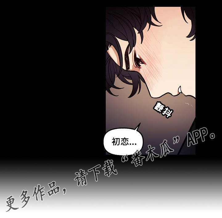 第5章：想法13