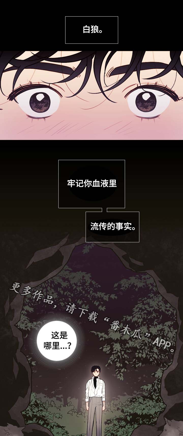 第65章：白狼10