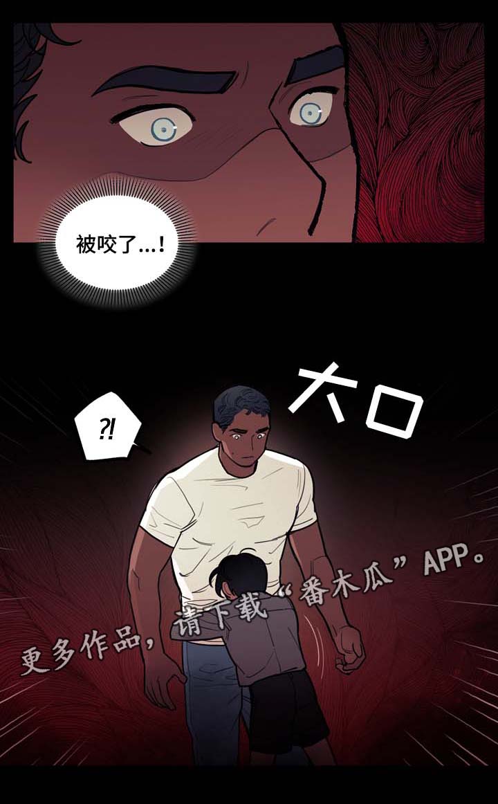 第36章：约定15