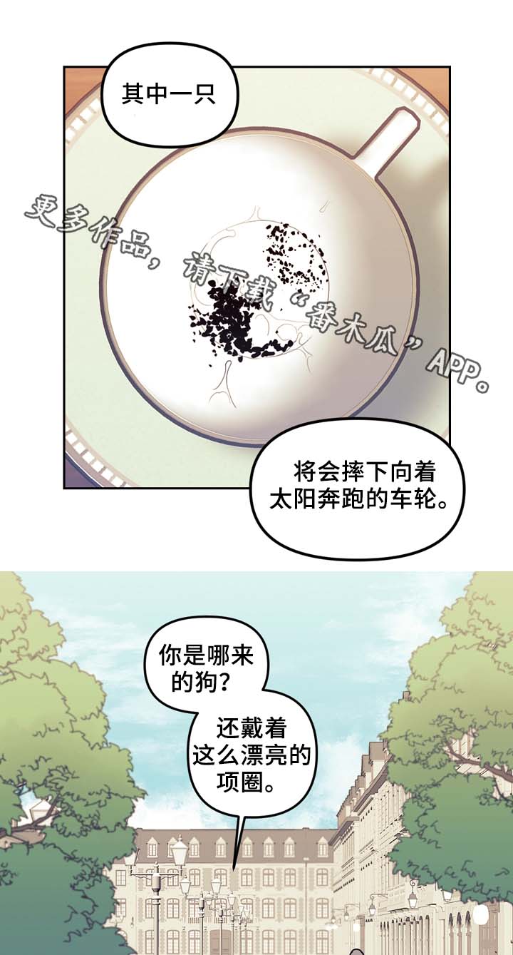 第52章：传说5