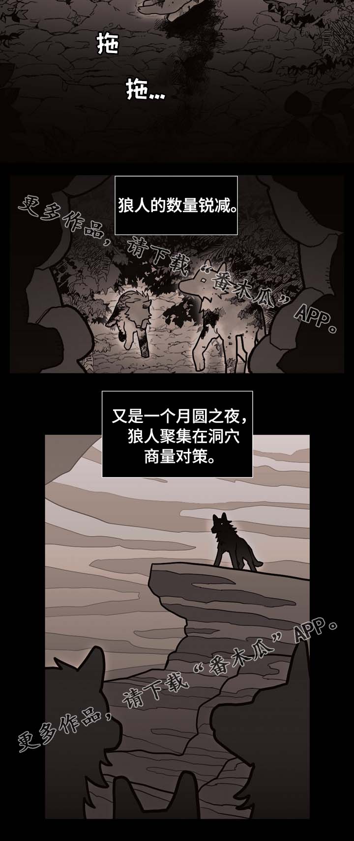 第66章：狼族秘辛3