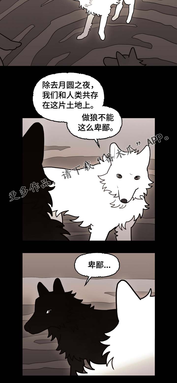 第66章：狼族秘辛7