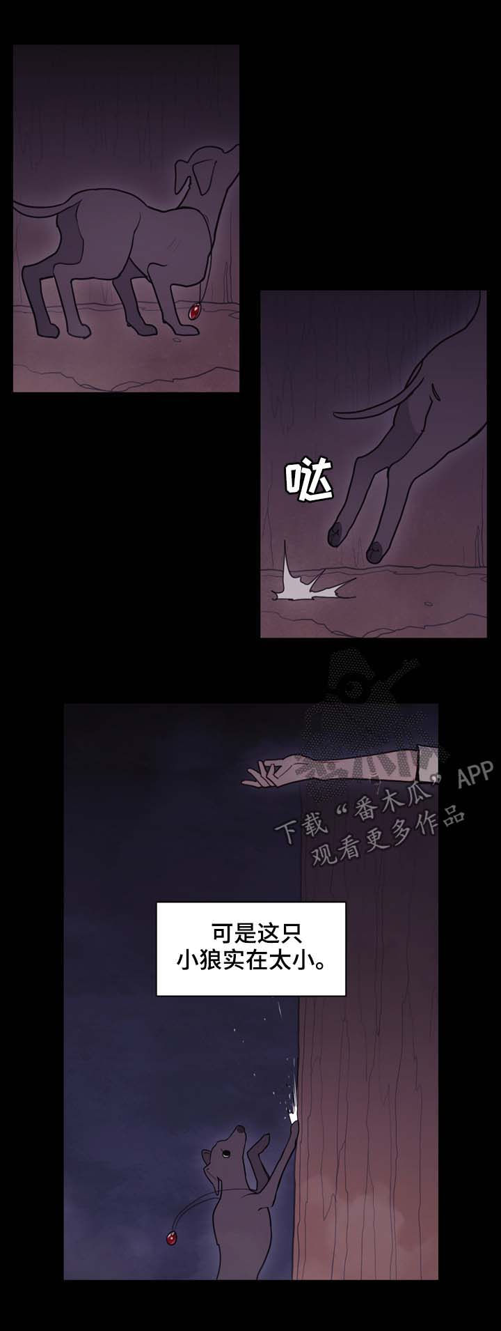 第105章：奇迹9