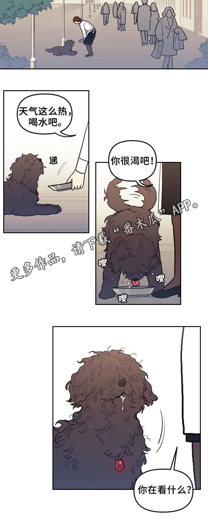 第52章：传说6