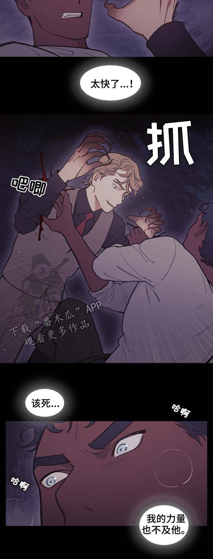第101章：偷袭5