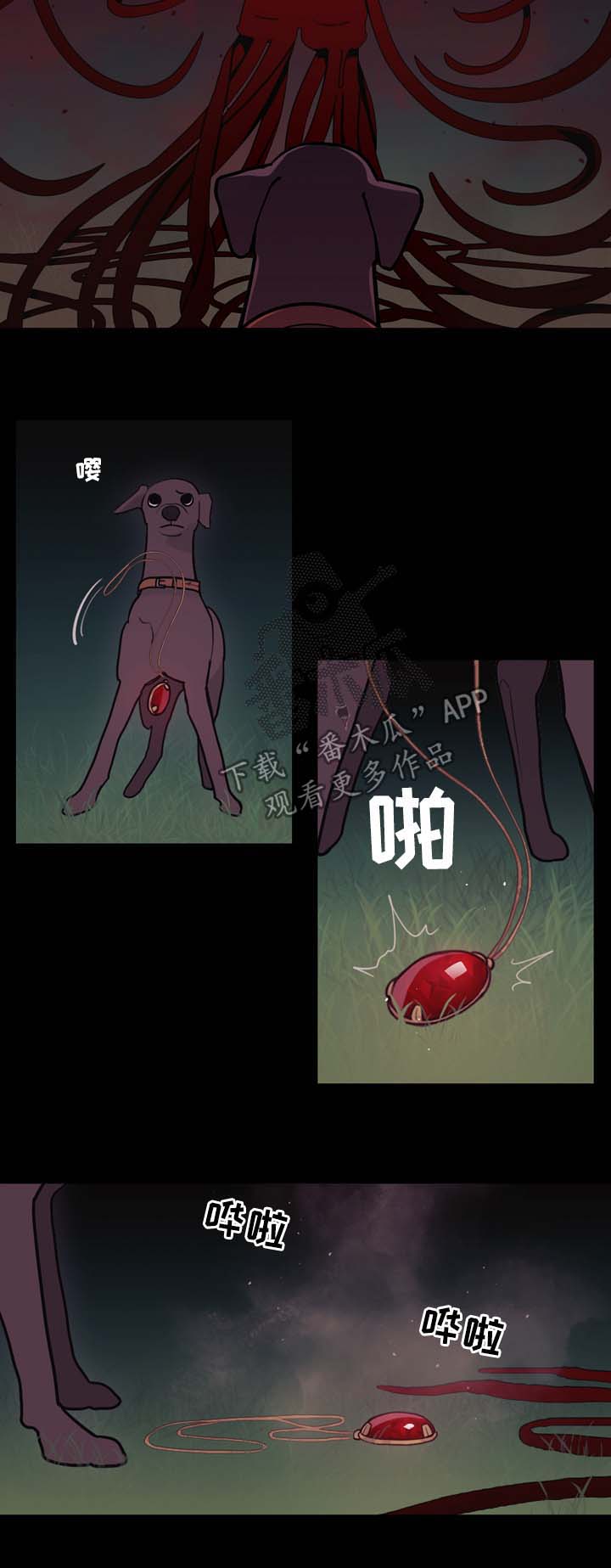第98章：名字8