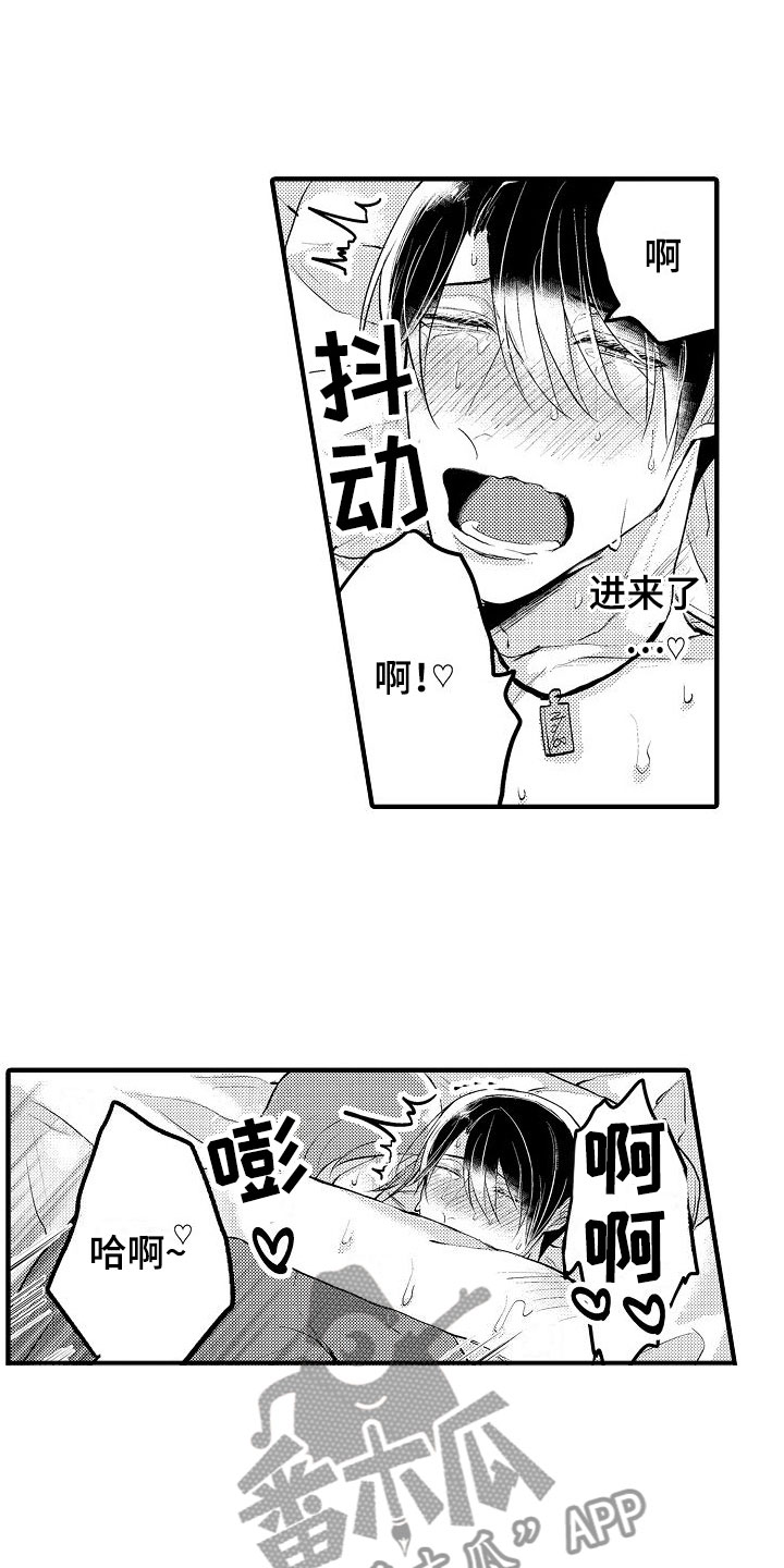 第13章：阴影11